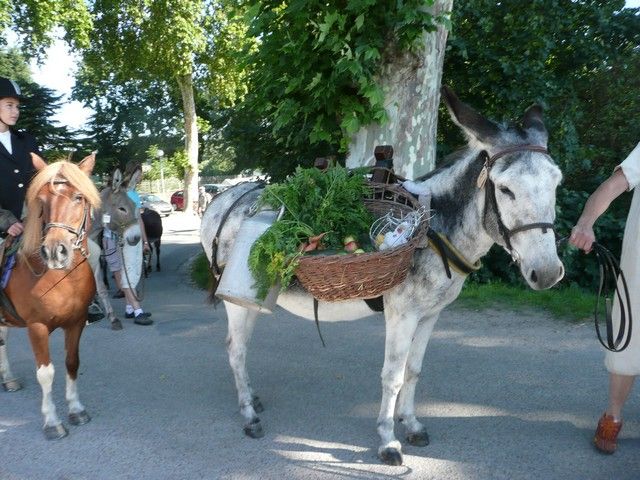 dimanche (34).jpg